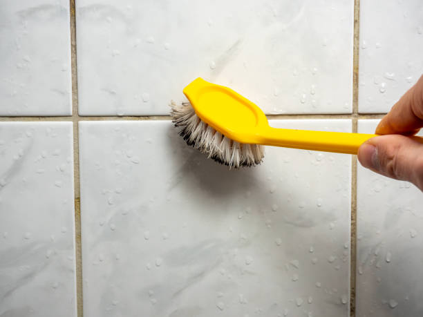 Best Mold Removal Company Near Me  in Warrenton, MO