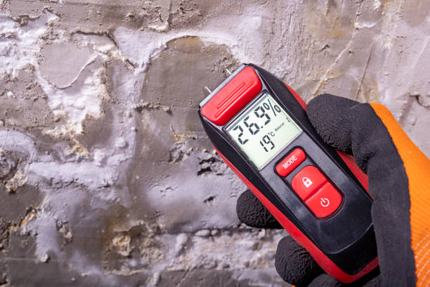 Mold Removal and Inspection in Warrenton, MO