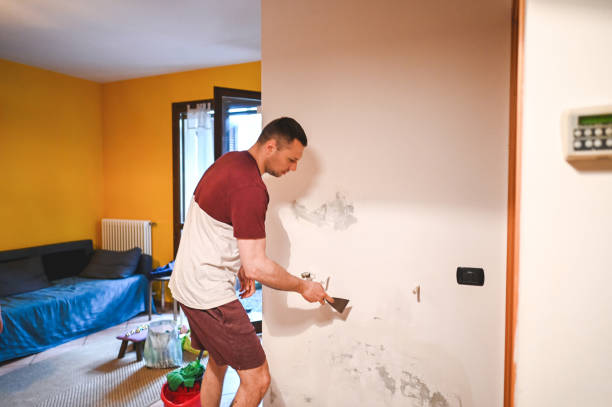 Attic Mold Removal in Warrenton, MO